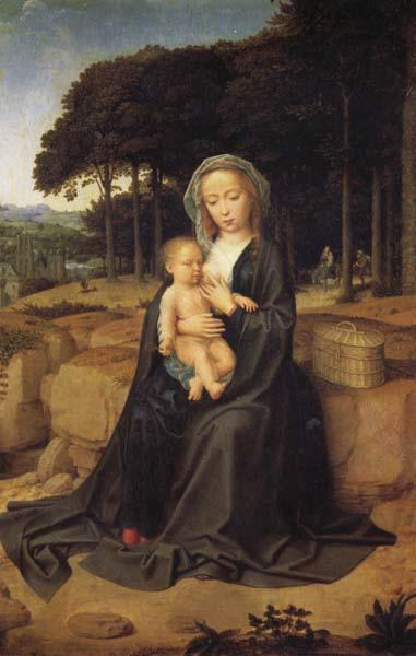 Gerard David Rest on the Flight into Egypt oil painting image